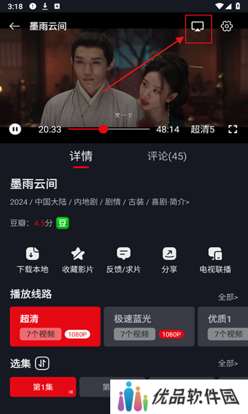 网飞猫