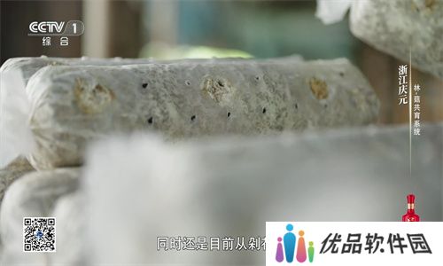 星火电视直播
